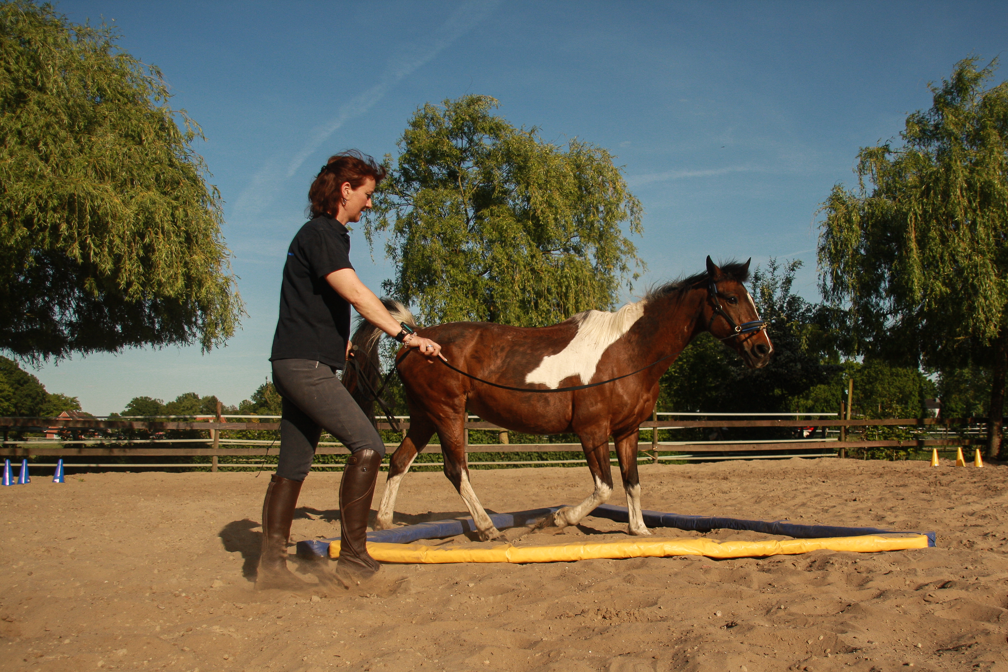 Dual-Aktivierung geritten / longiert, EquiGym