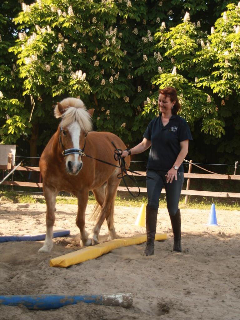 Blau gelbe Trainingswelt